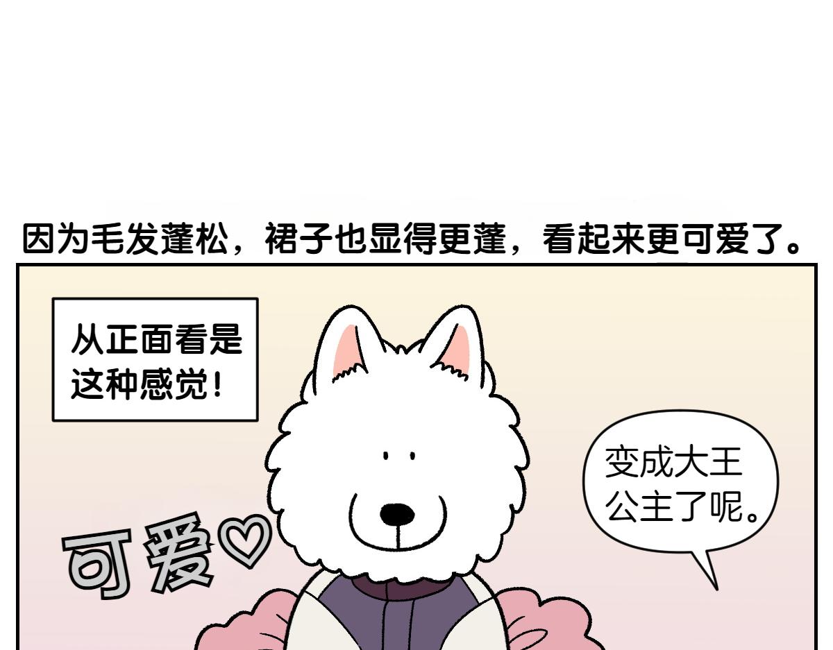 第96话 公主狗狗-第165话