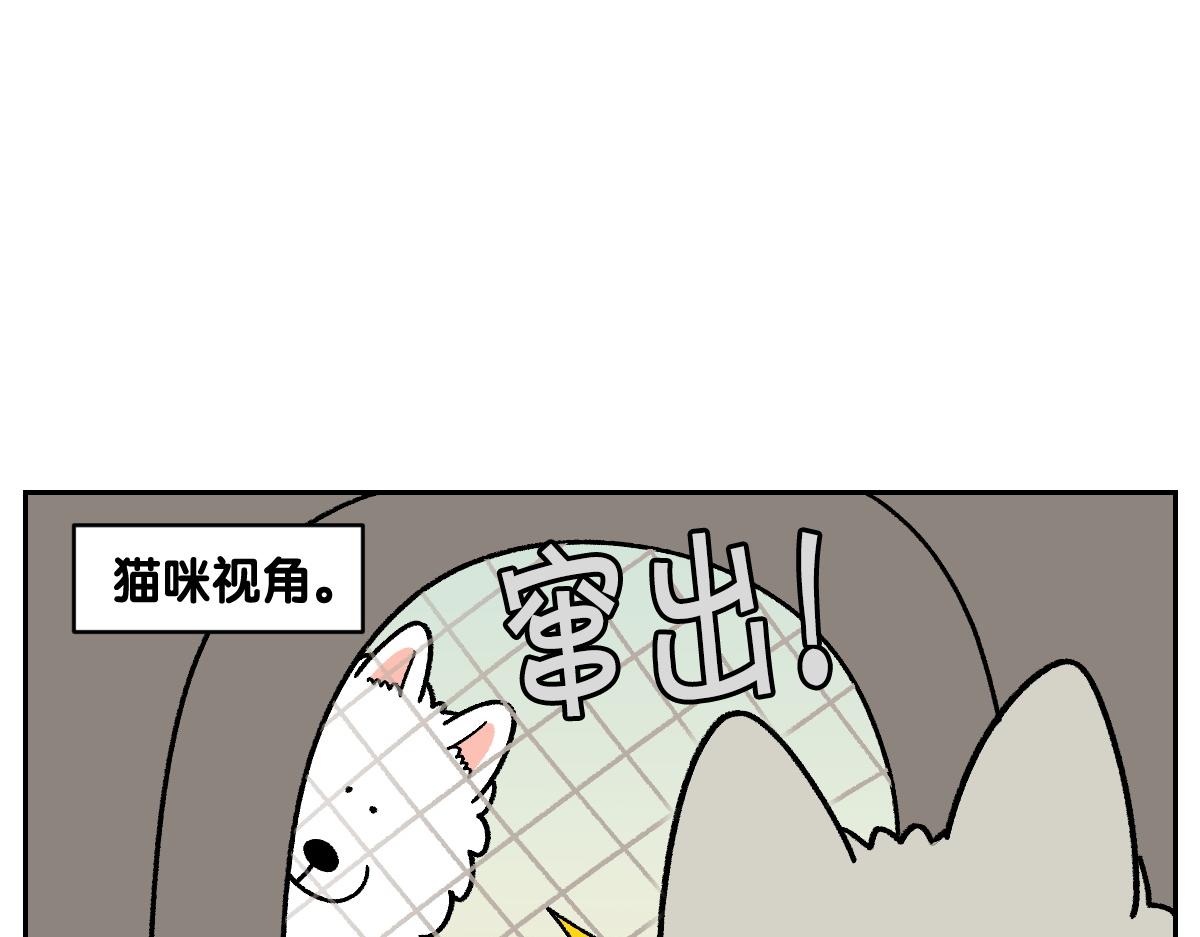 第98话 在医院里遇到的朋友们(1/2)-第167话