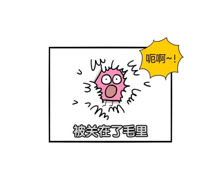 第18话 驱虫大作战(1/2)-第19话