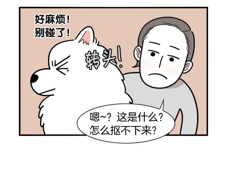 第18话 驱虫大作战(1/2)-第19话