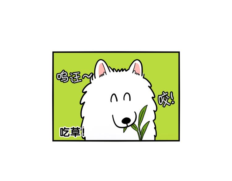 第18话 驱虫大作战(1/2)-第19话