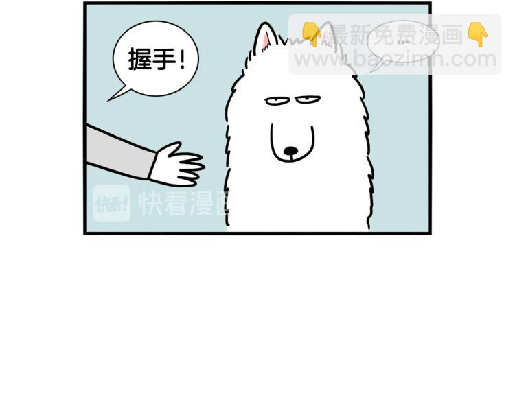 第2话 训练狗子(1/2)-第3话