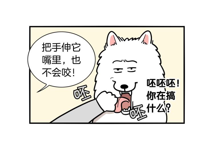 第20话 越大越好养？(1/2)-第21话