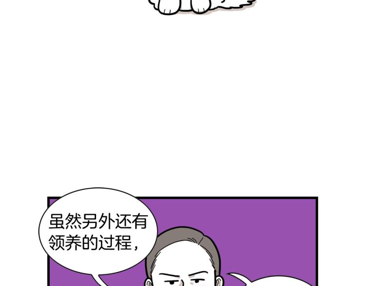 第20话 越大越好养？(1/2)-第21话