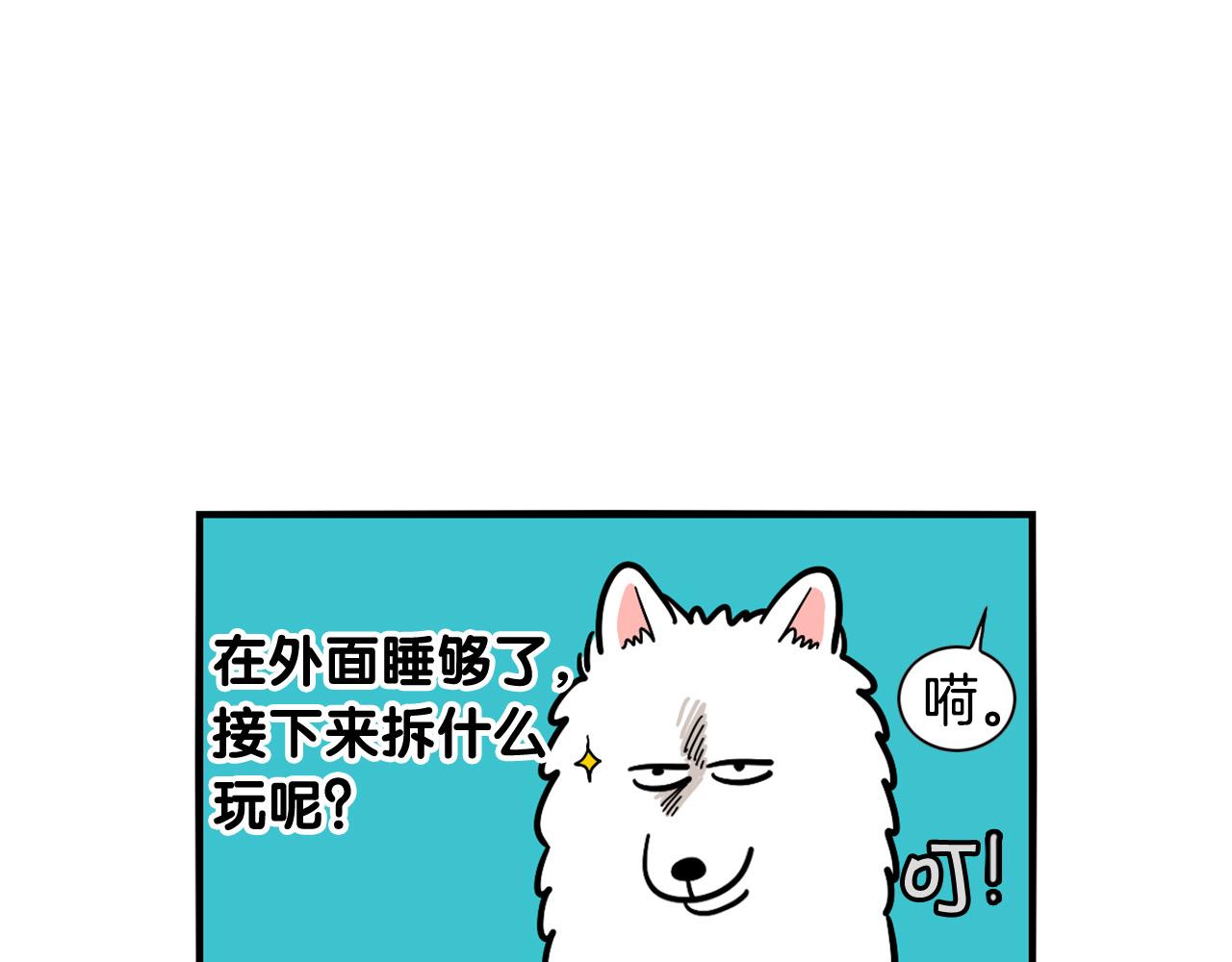 第24话 棉花的窝(1/3)-第25话