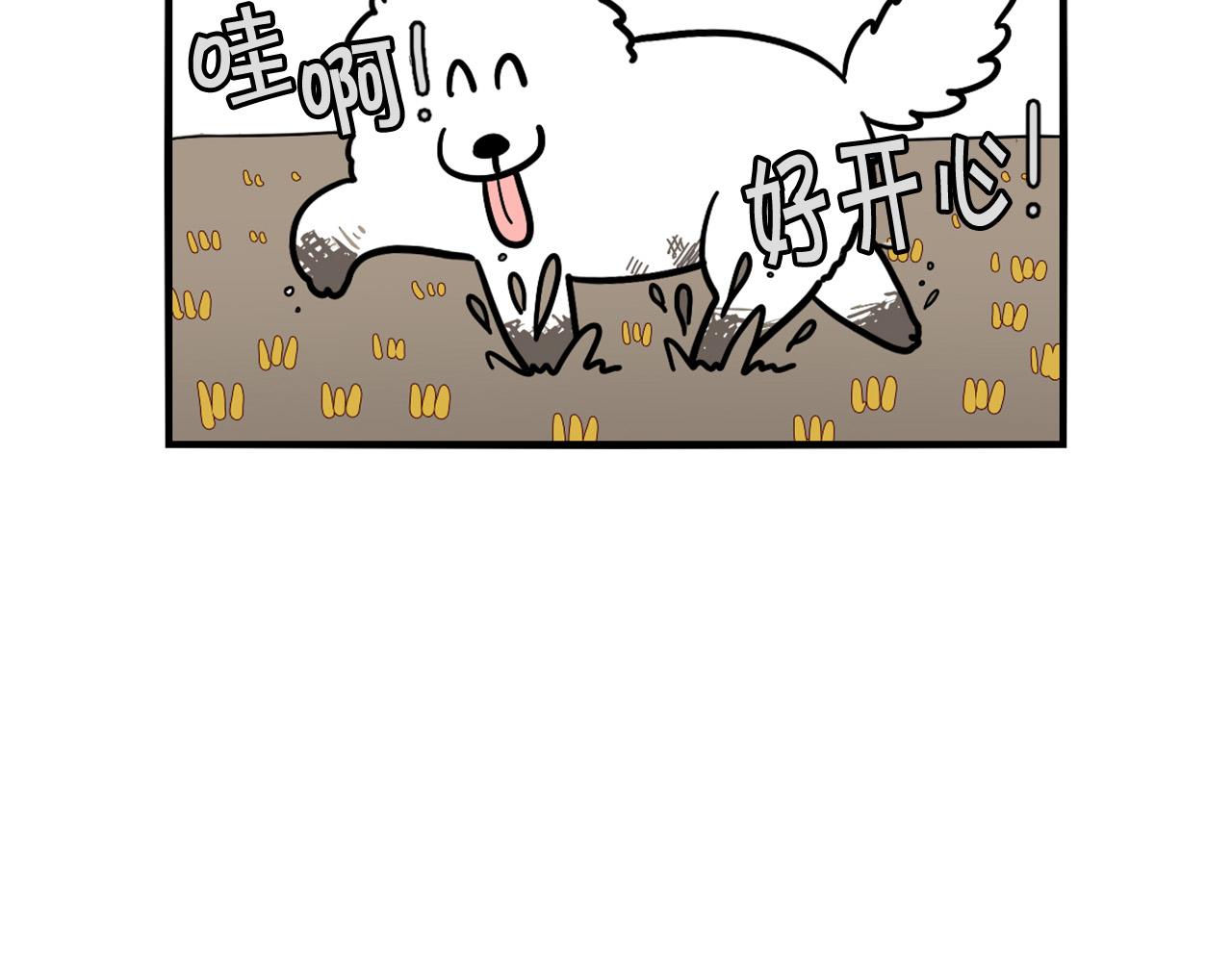 第28话 不牵狗绳的后果(1/3)-第29话
