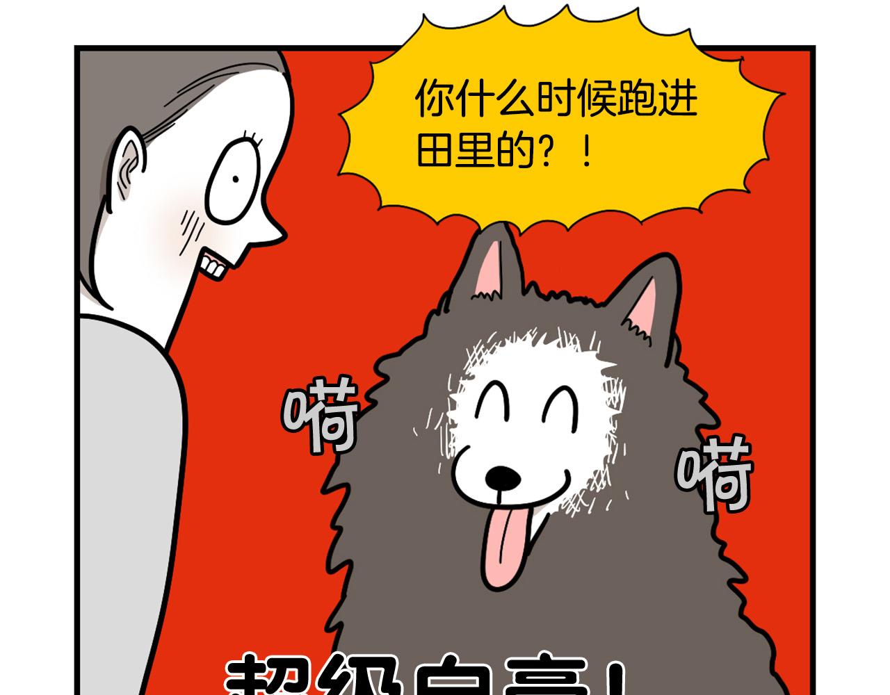 第28话 不牵狗绳的后果(1/3)-第29话