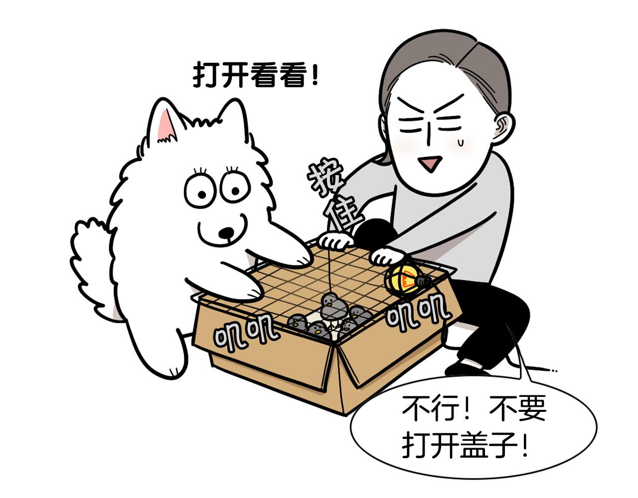第32话 不适合做朋友(1/2)-第33话