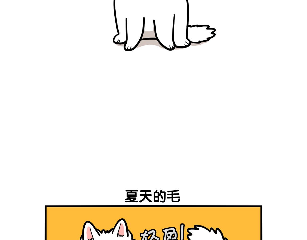 第38话 不怕冷(1/2)-第39话
