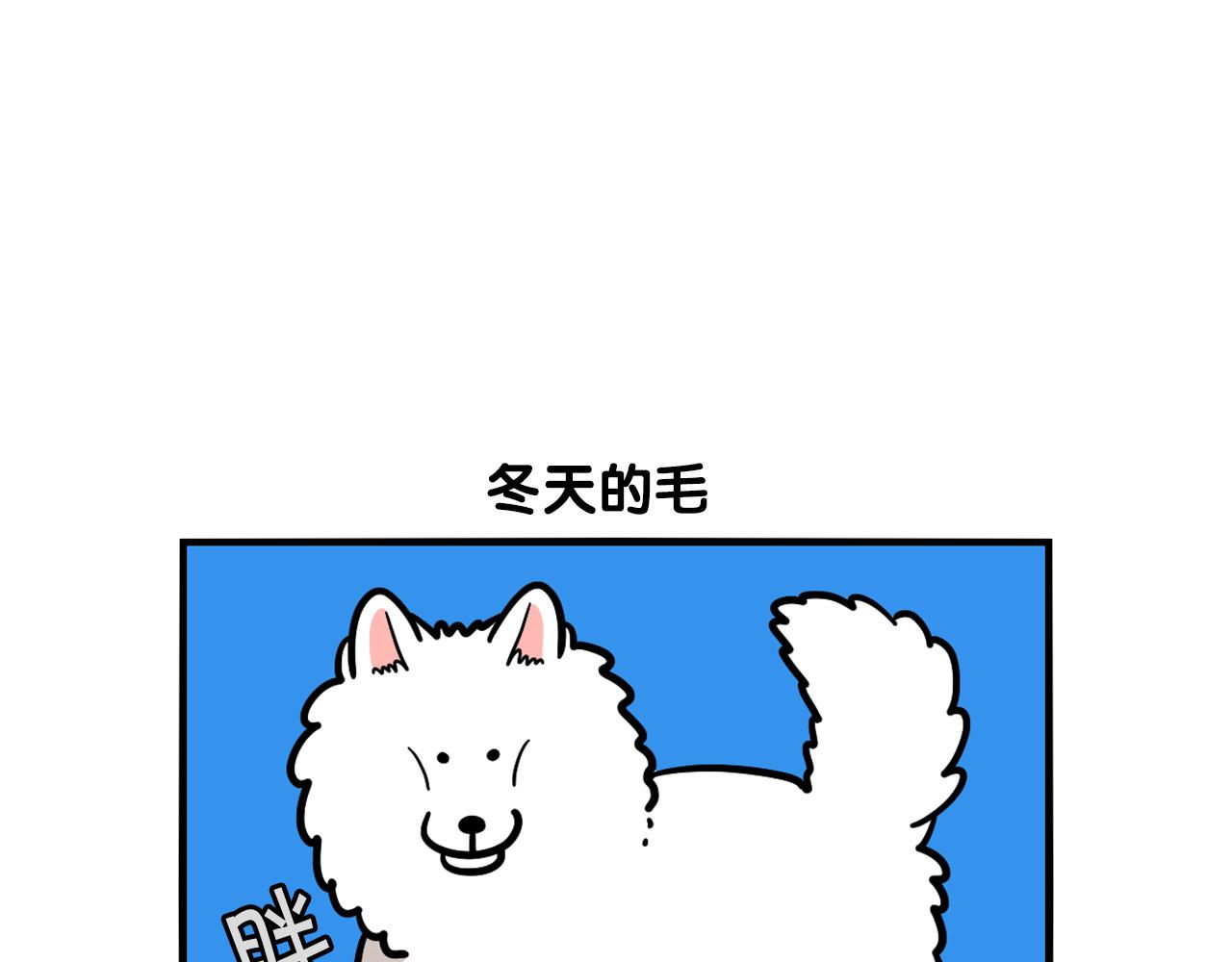 第38话 不怕冷(1/2)-第39话