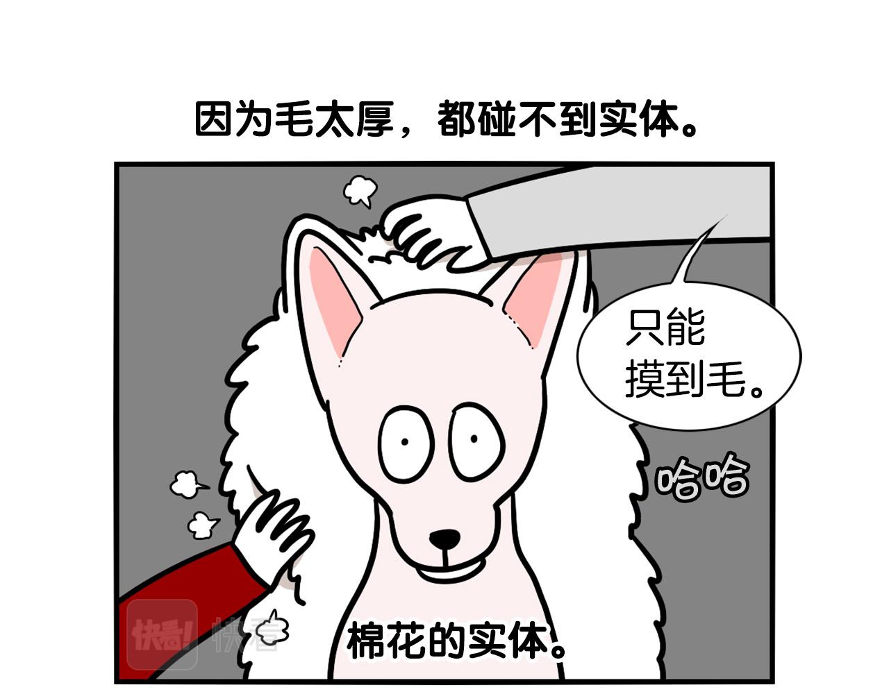 第38话 不怕冷(1/2)-第39话