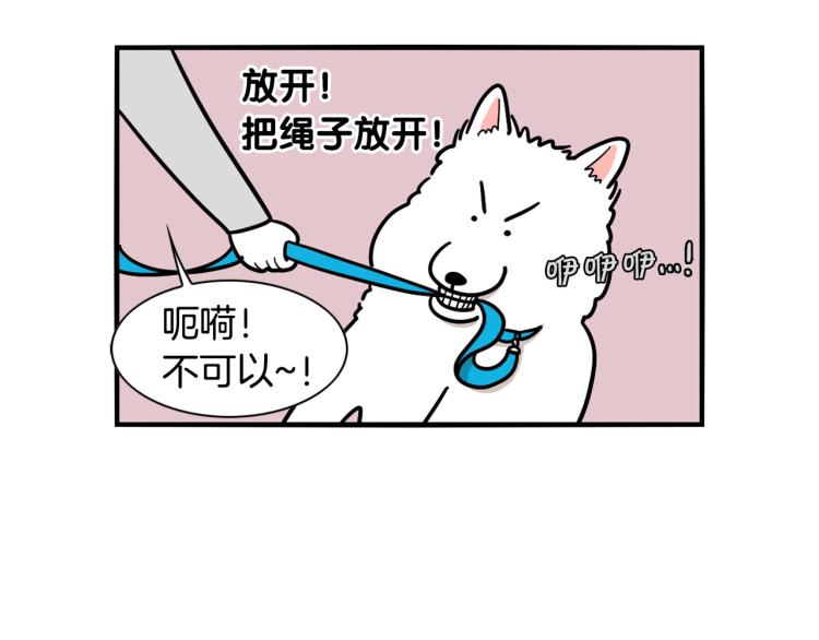 第4话 训练狗狗大作战！(1/2)-第5话