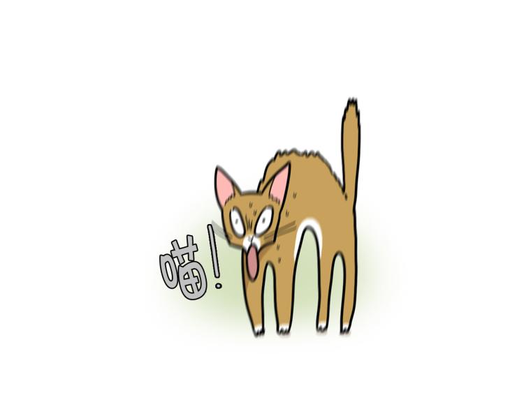 第4话 训练狗狗大作战！(1/2)-第5话
