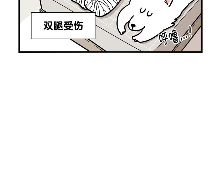 第4话 训练狗狗大作战！(1/2)-第5话