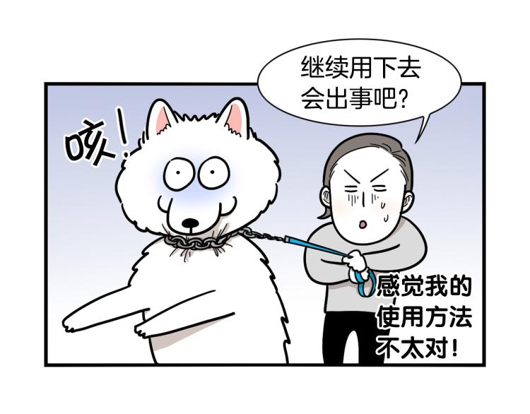 第4话 训练狗狗大作战！(1/2)-第5话