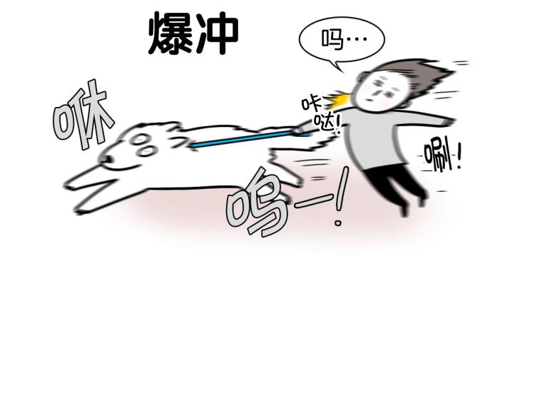第4话 训练狗狗大作战！(1/2)-第5话
