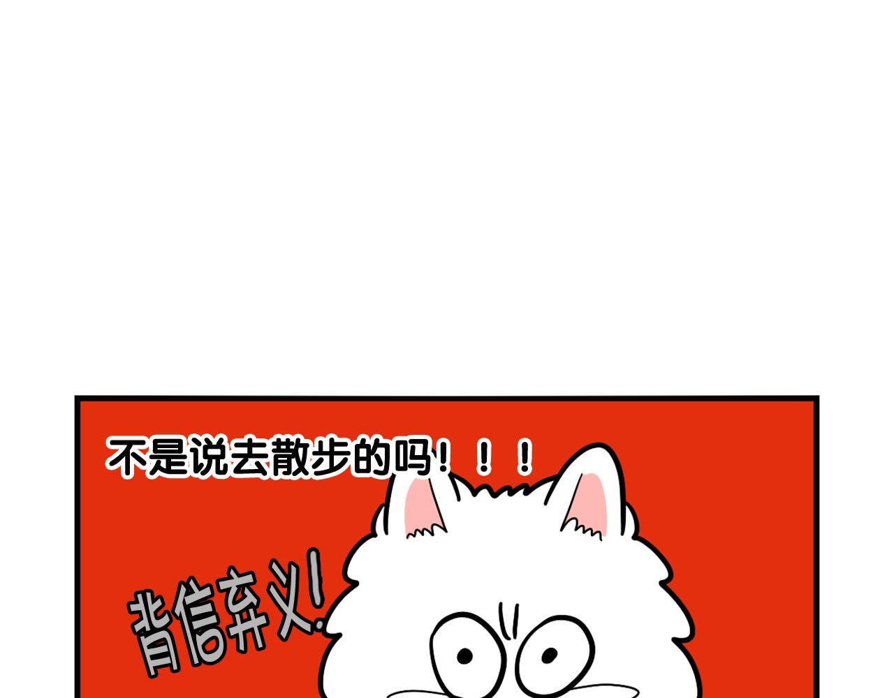 第42话 绝育难题(1/2)-第43话