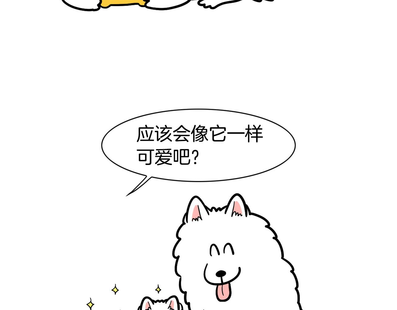 第42话 绝育难题(1/2)-第43话