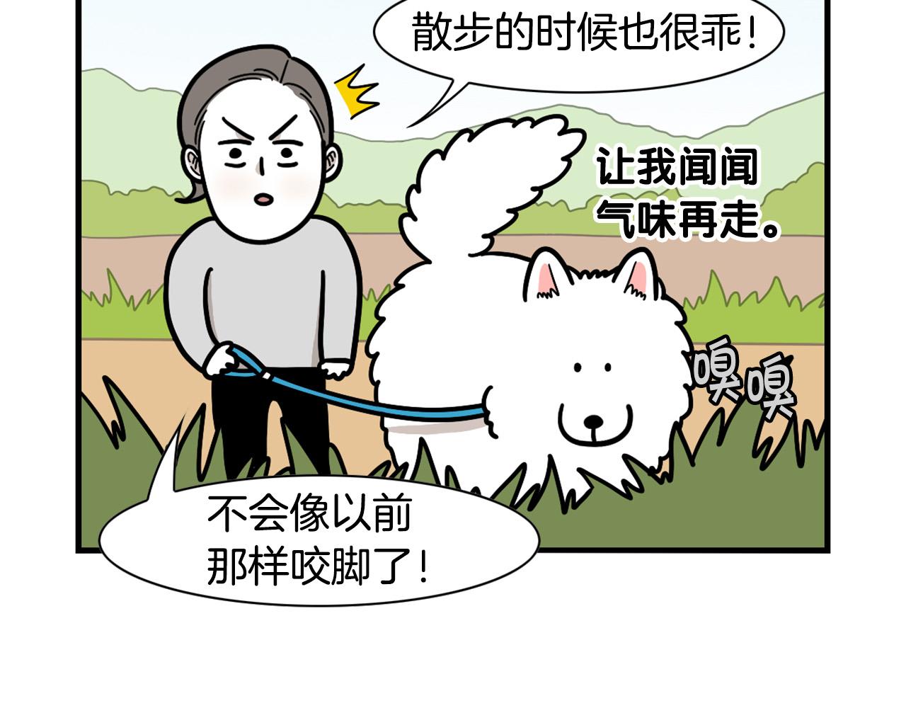 第44话 母爱(1/2)-第45话