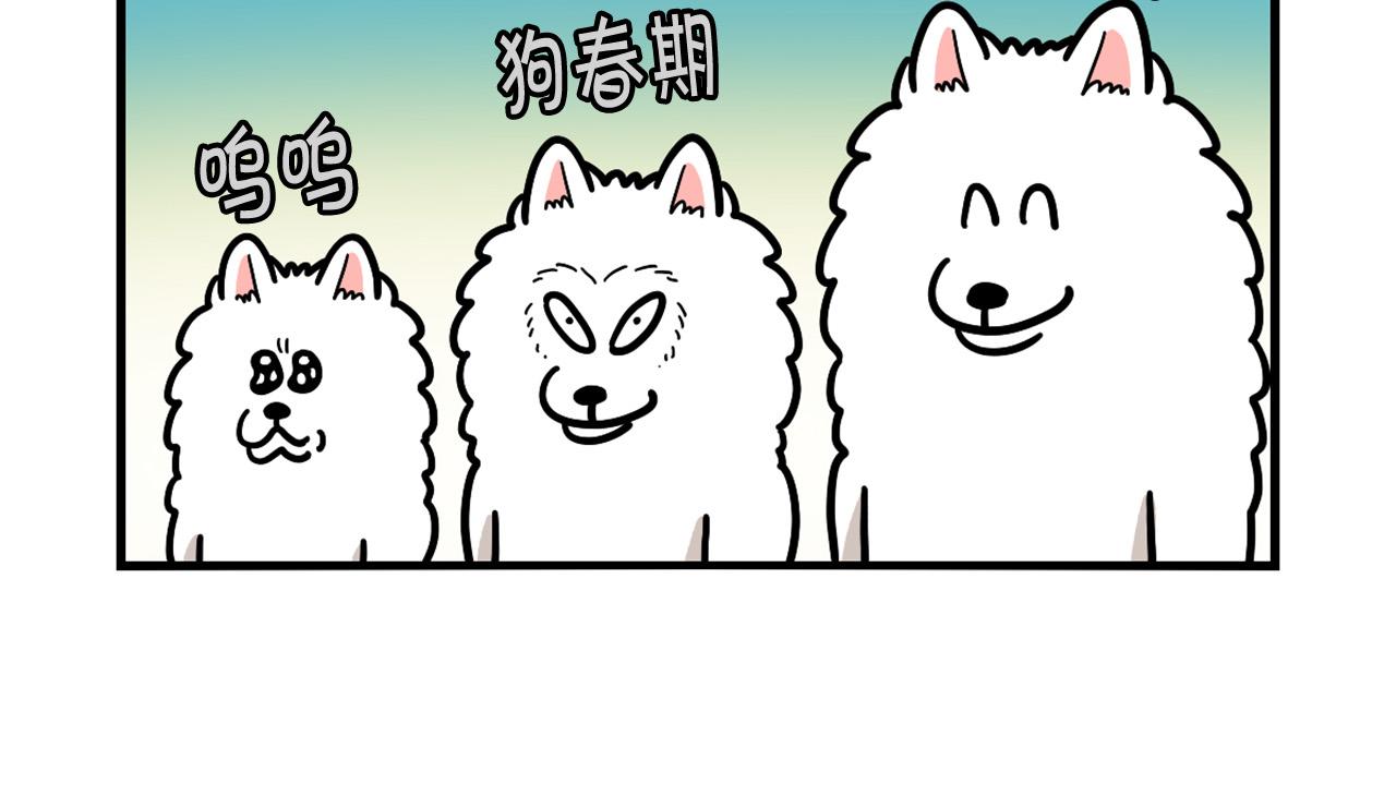 第44话 母爱(1/2)-第45话