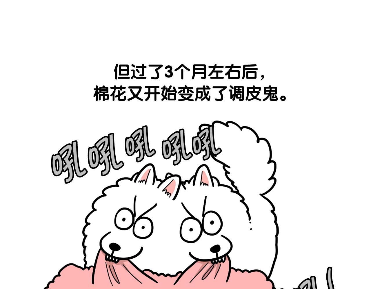 第44话 母爱(1/2)-第45话