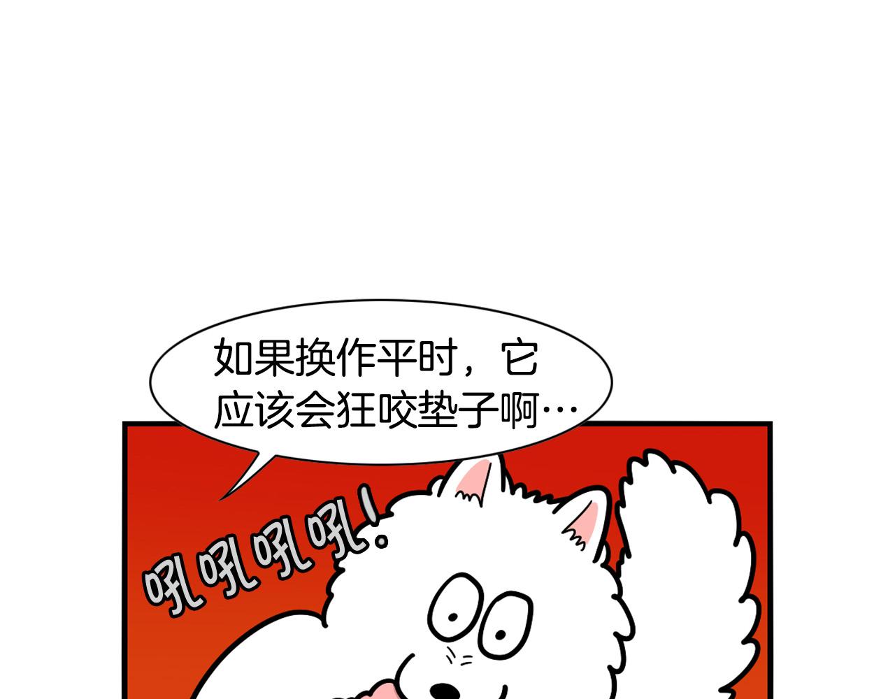 第44话 母爱(1/2)-第45话