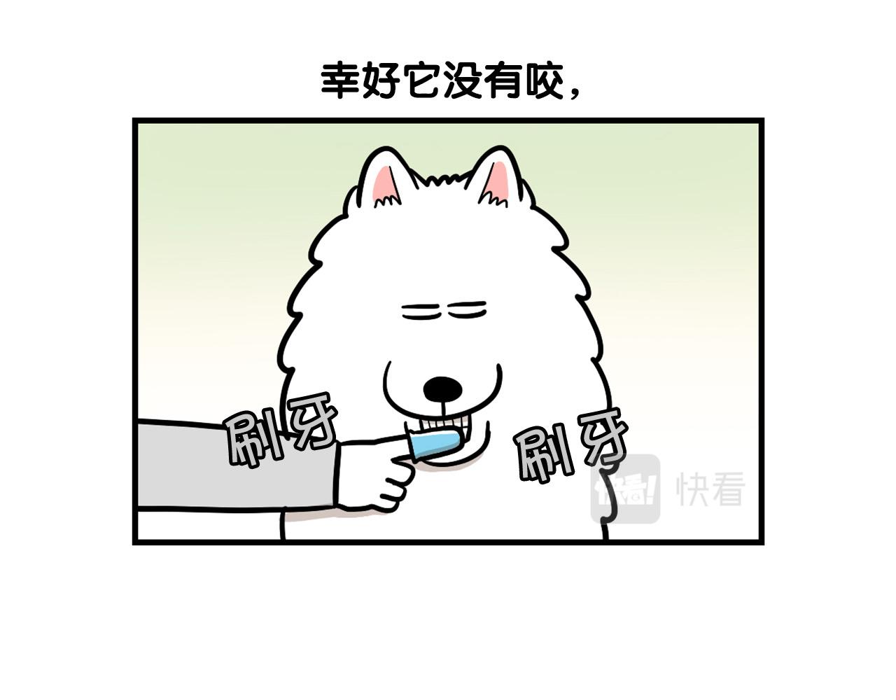 第50话 刷牙示范(1/2)-第51话
