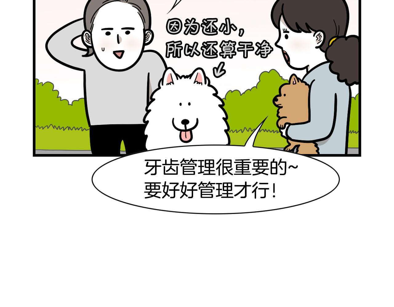 第50话 刷牙示范(1/2)-第51话