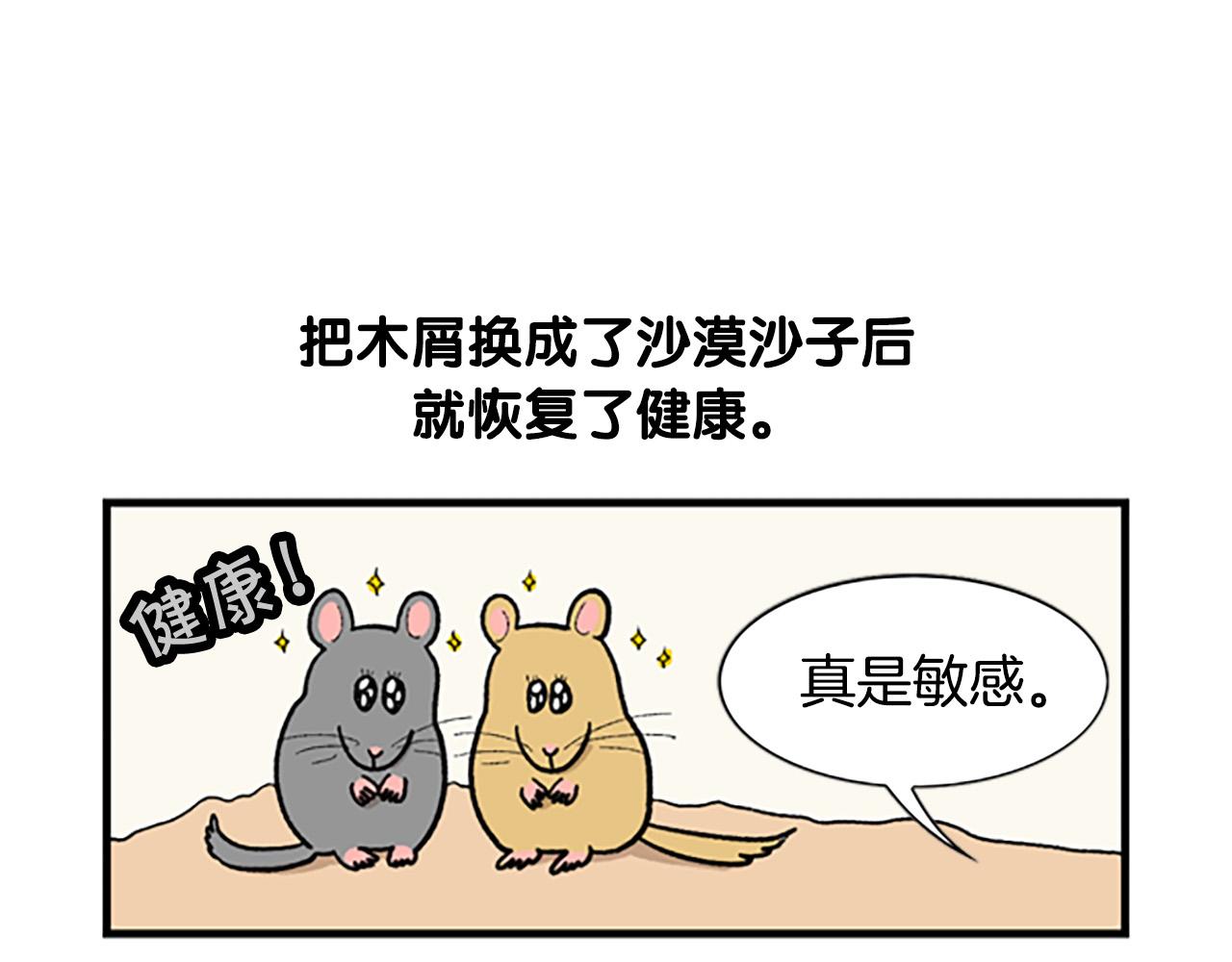 番外4 是我大意了(1/2)-第65话