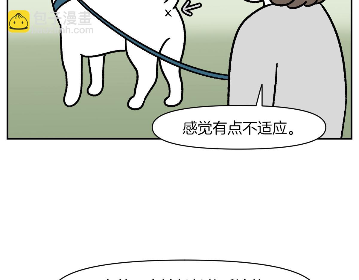 第3话 回归的棉棒(1/2)-第71话