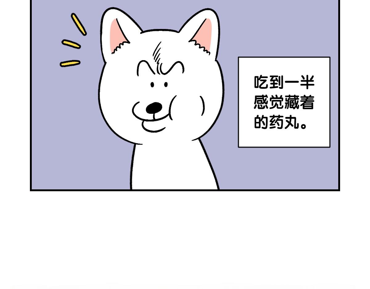 第5话 喂狗狗吃药片的方法(1/2)-第73话