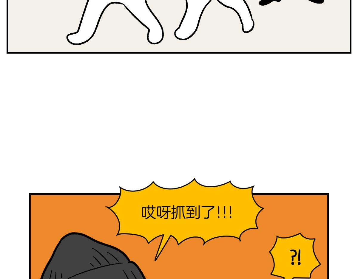 第5话 喂狗狗吃药片的方法(1/2)-第73话