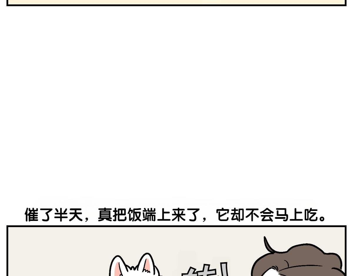 第9话 早间流程(1/2)-第77话