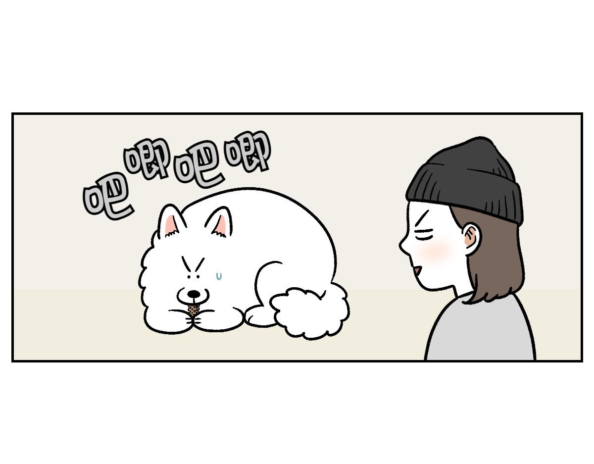 第11话 狗咬胶(1/2)-第79话