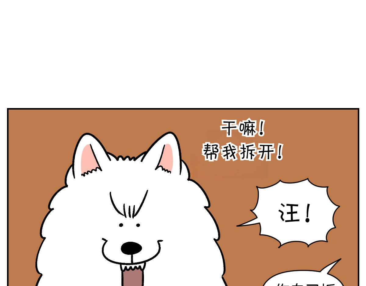 第11话 狗咬胶(1/2)-第79话