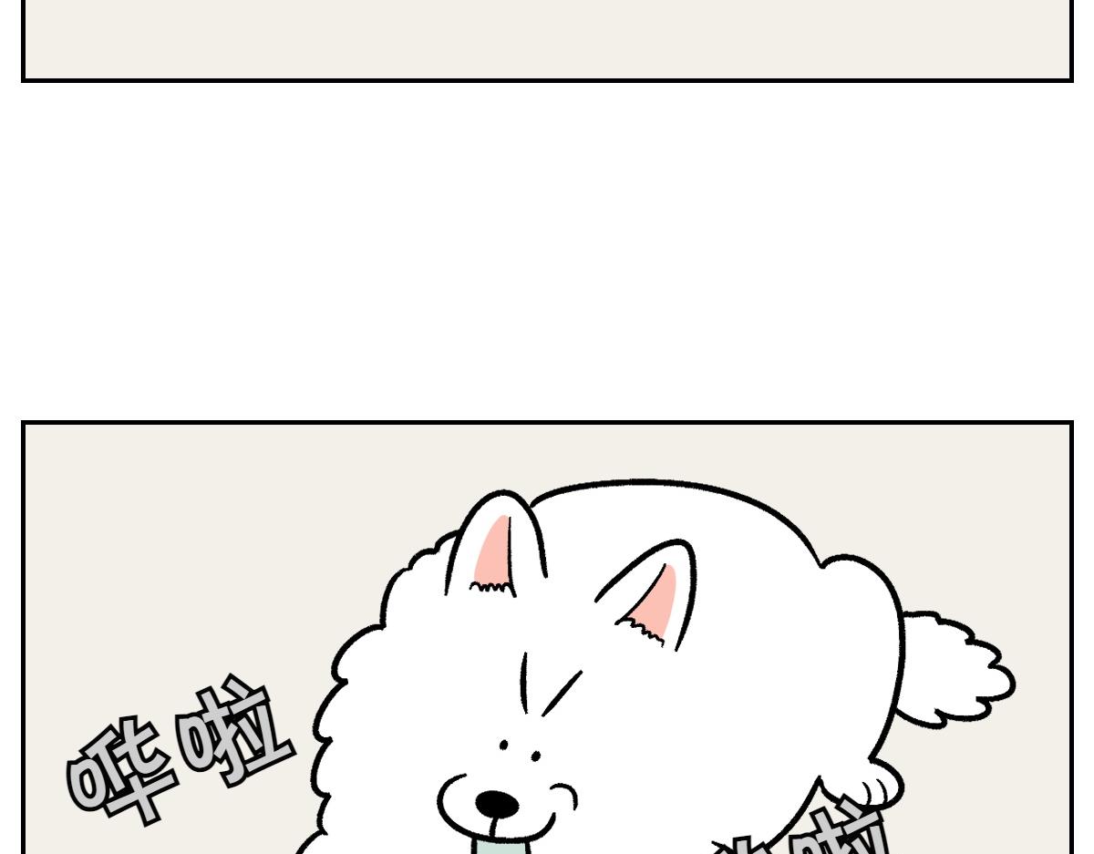 第11话 狗咬胶(1/2)-第79话