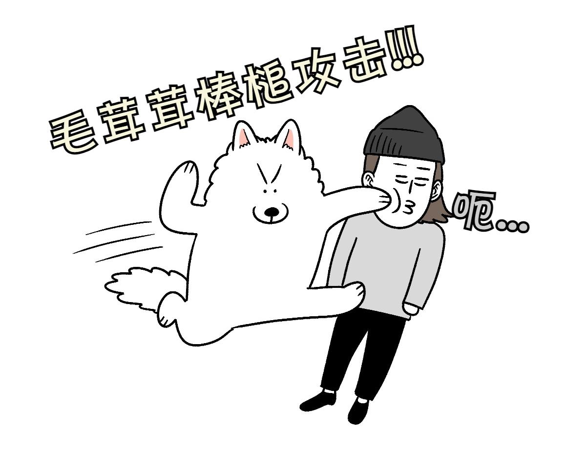 第11话 狗咬胶(1/2)-第79话