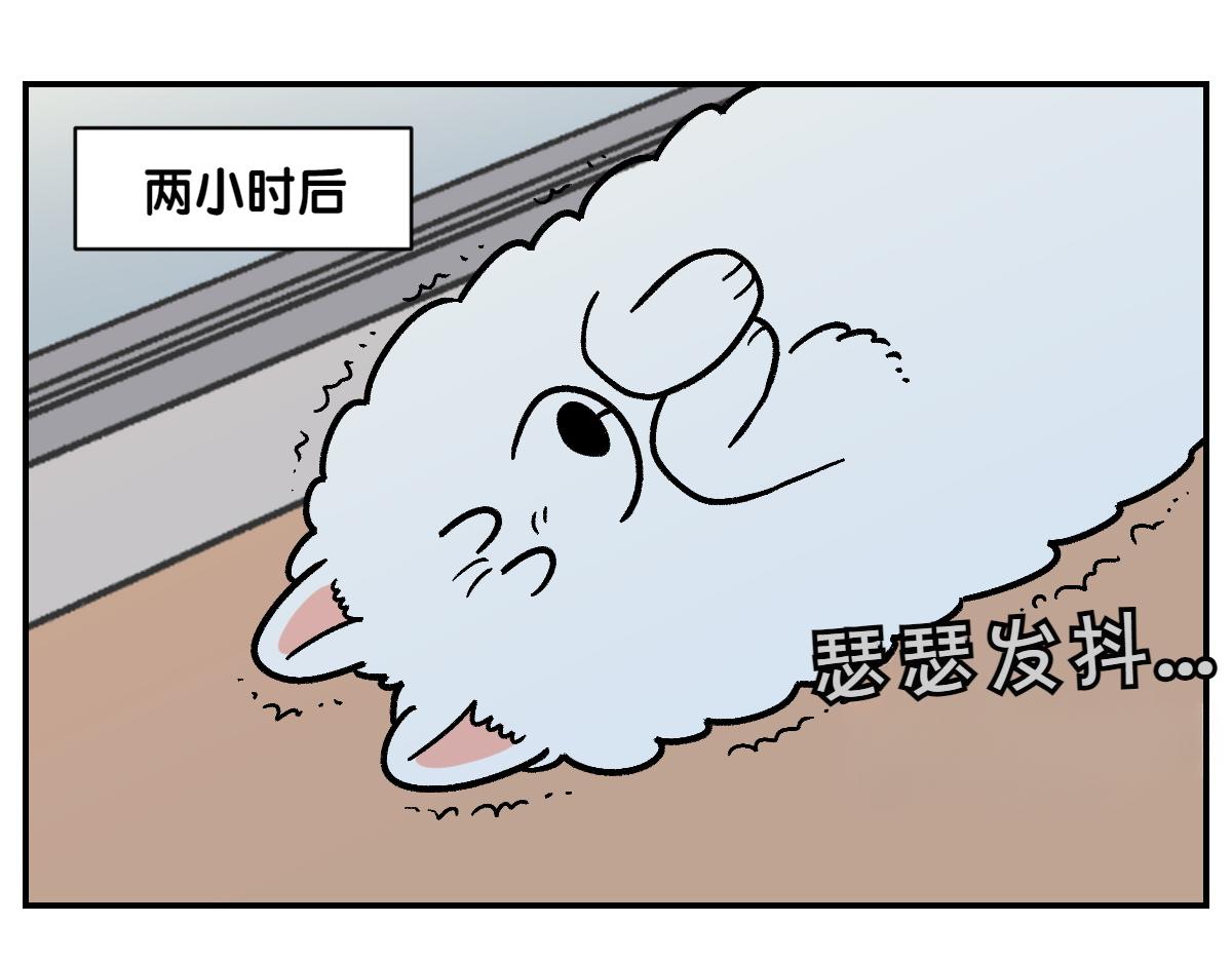 第13话 帮我开阳台门(1/2)-第81话