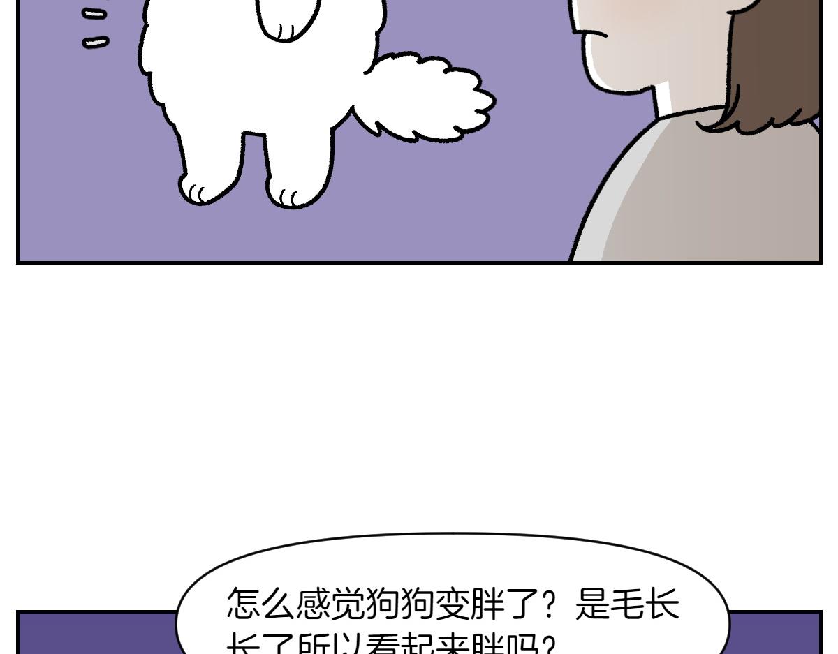 第17话 胖狗狗2(1/2)-第85话