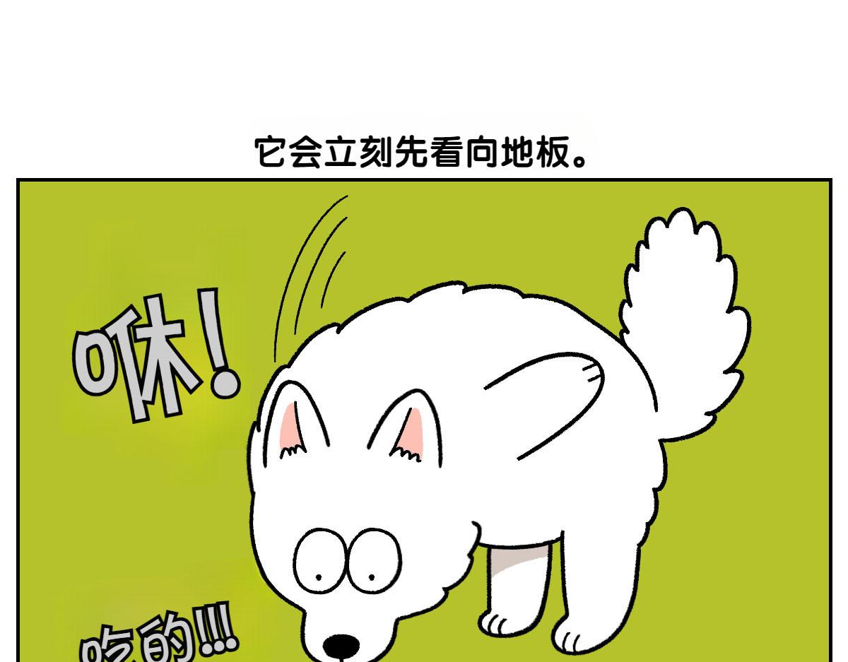 第21话 歪头等待的狗-第89话