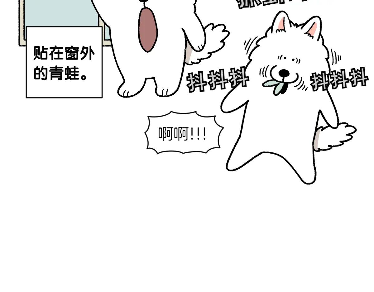 第25话 意想不到的动物朋友们(1/2)-第93话