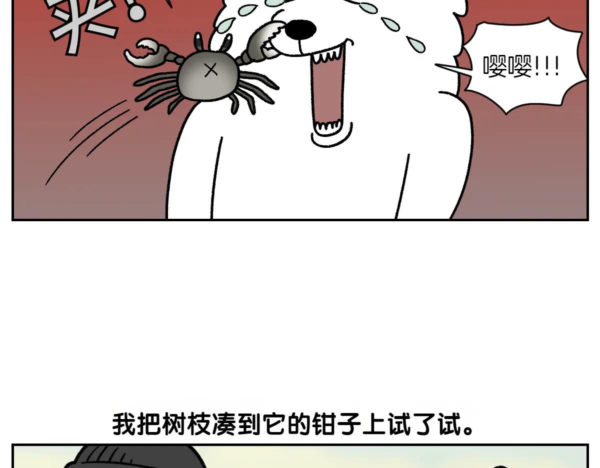 第25话 意想不到的动物朋友们(1/2)-第93话
