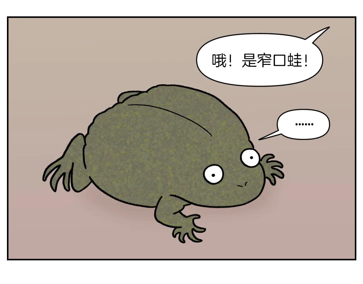 第25话 意想不到的动物朋友们(1/2)-第93话