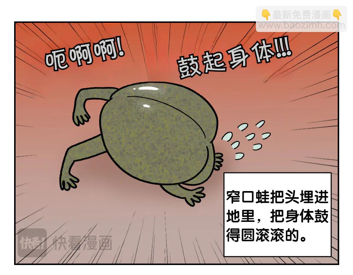 第25话 意想不到的动物朋友们(1/2)-第93话