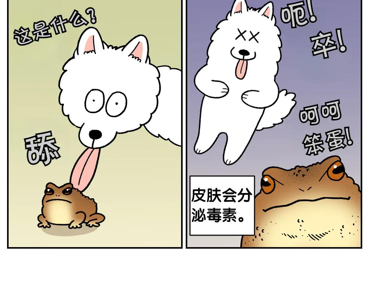 第25话 意想不到的动物朋友们(1/2)-第93话