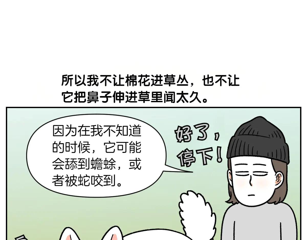第25话 意想不到的动物朋友们(1/2)-第93话