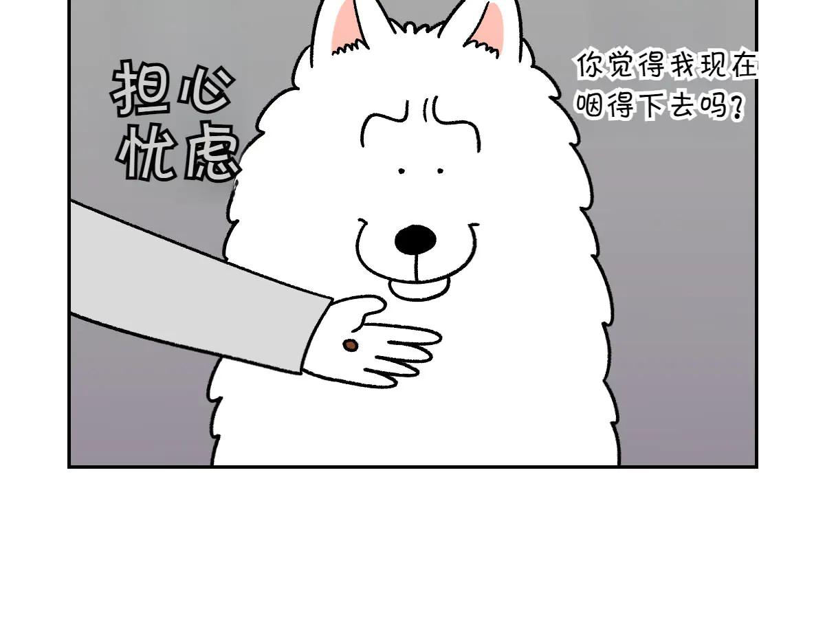 第27话 动物医院2(1/2)-第95话