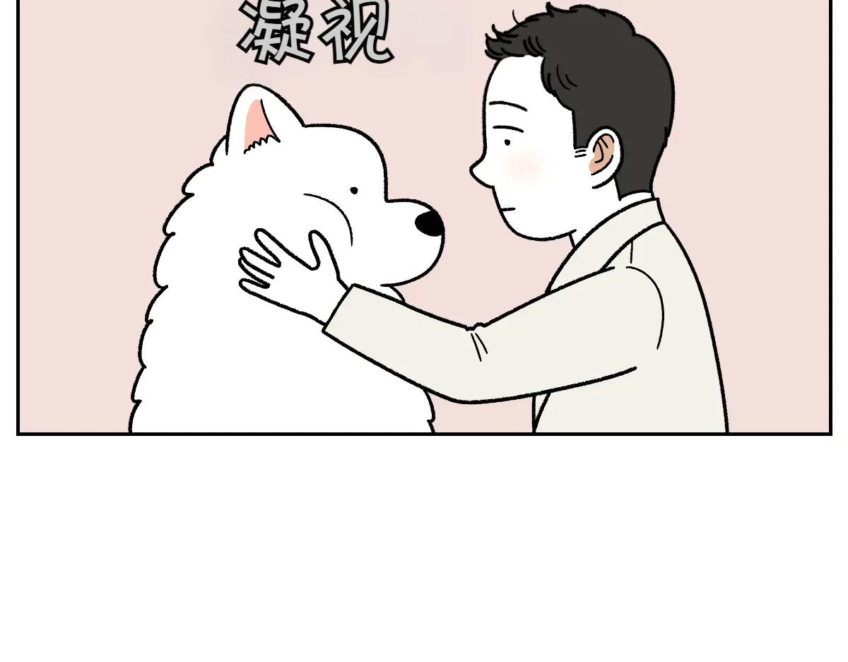 第27话 动物医院2(1/2)-第95话