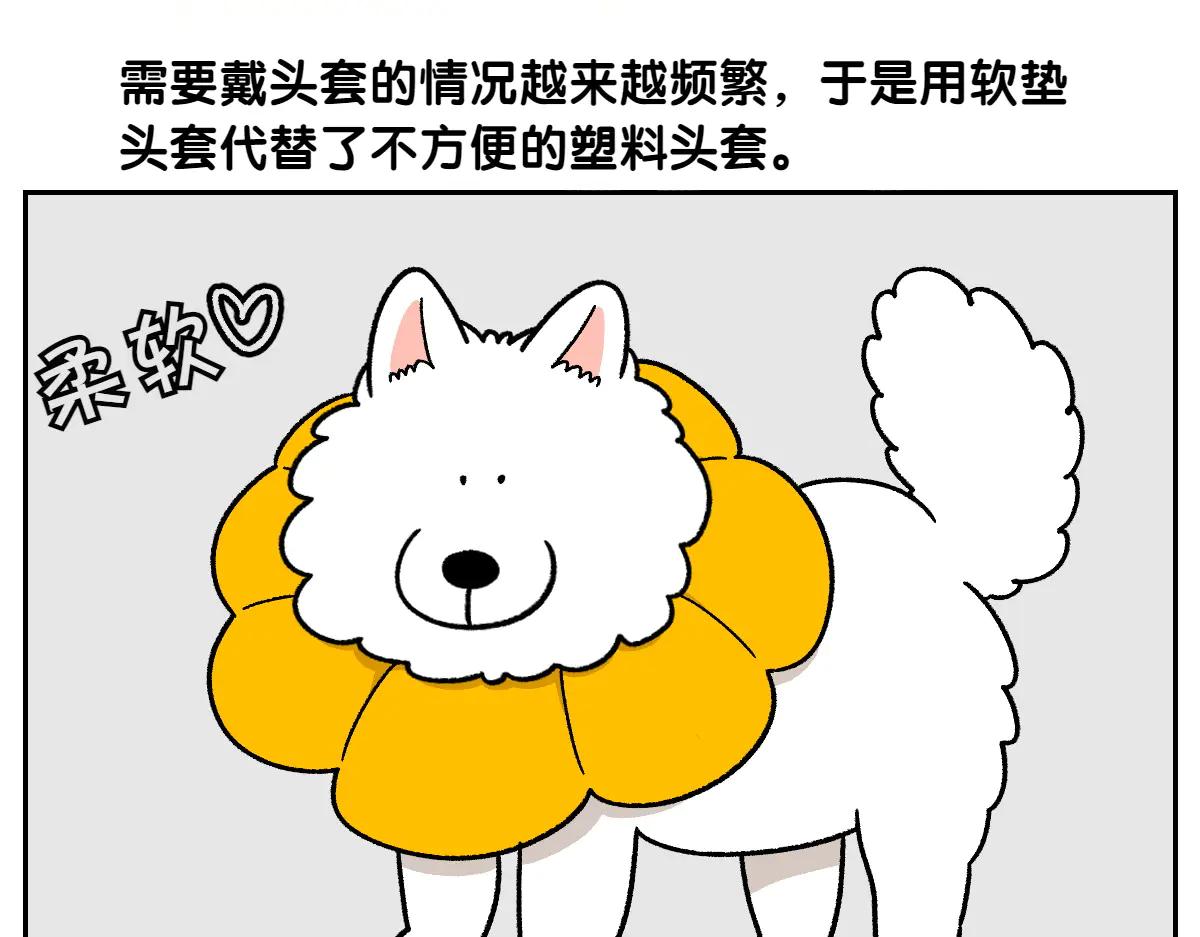 第29话 到底是不是听话狗狗-第97话