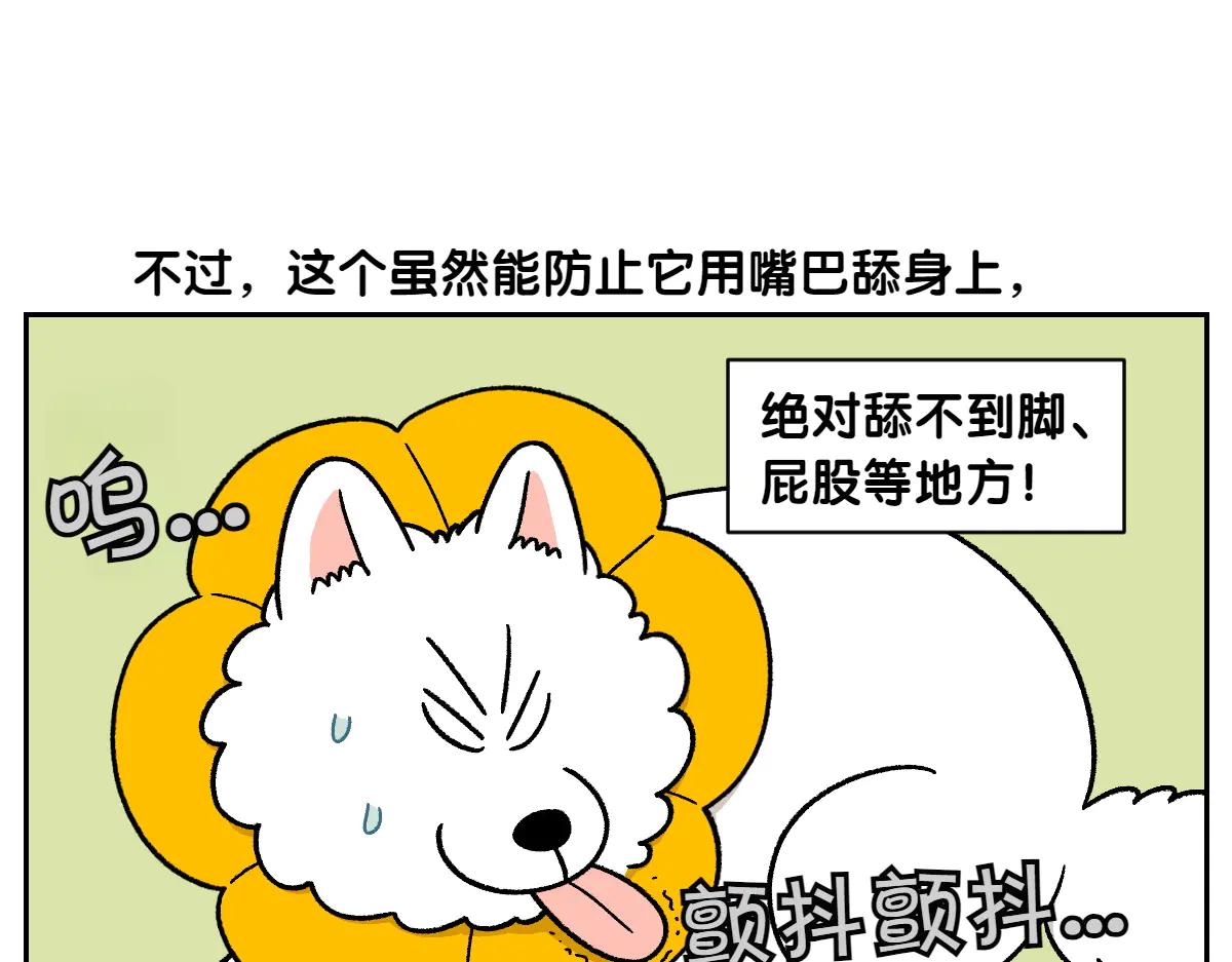 第29话 到底是不是听话狗狗-第97话
